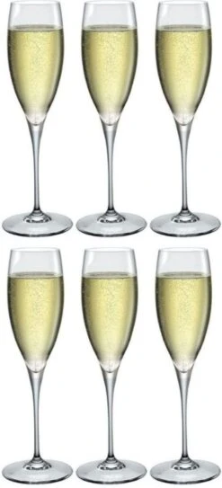 Bormioli Rocco Champagneglazen Premium - 260 Ml - 6 Stuks
