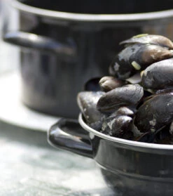 Cosy & Trendy Mosselpan - Oranje - ø 18 Cm / 2.8 Liter -Kookwaren Verkoop mosselpan 4